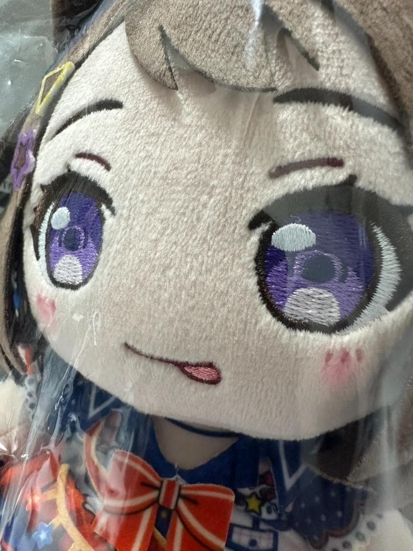 特典有　新品未開封 バンドリ BanGDream！ ぬいぐるみ 戸山香澄