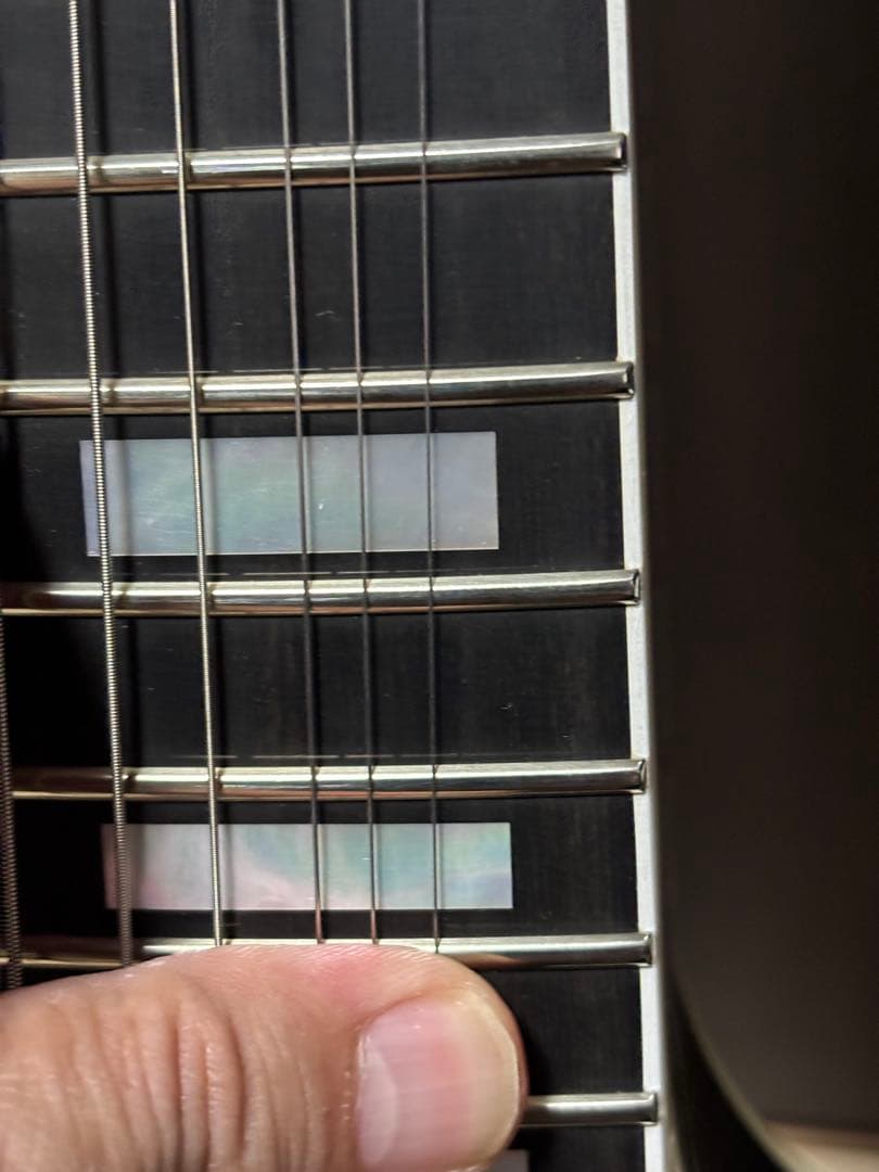 ギター FUJIGEN NLC200EMH-BK