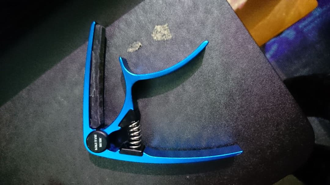 エレキギター ぞーさん