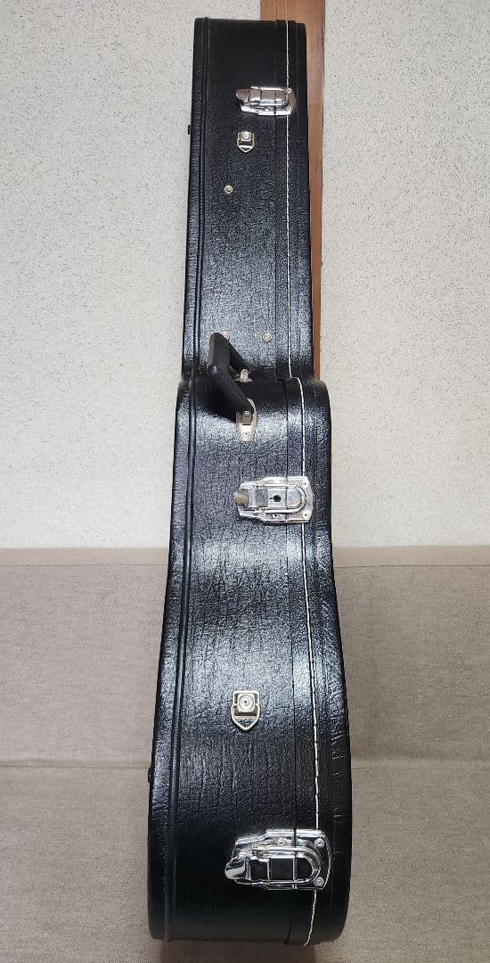 Aria アコースティックギター エレアコ AMB-35 BLS ハードケース