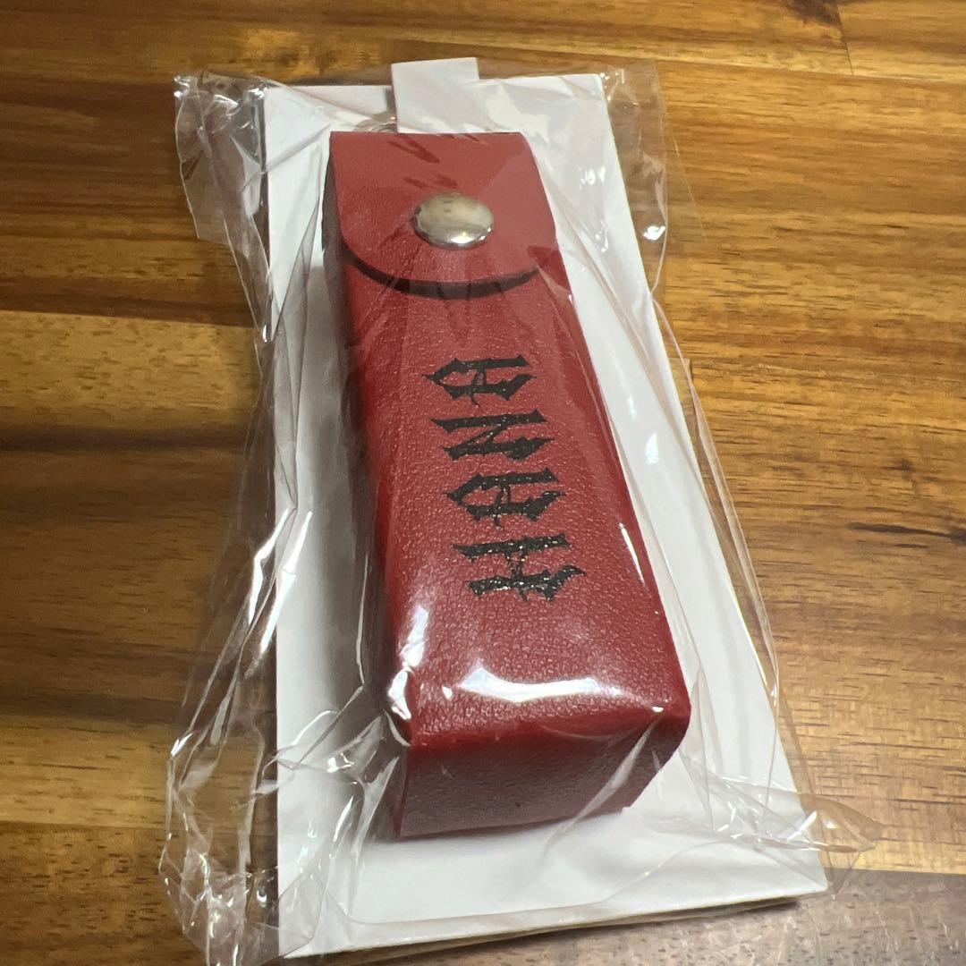 【新品最安値】HANA ロゴリップケース　デビュー直前イベント