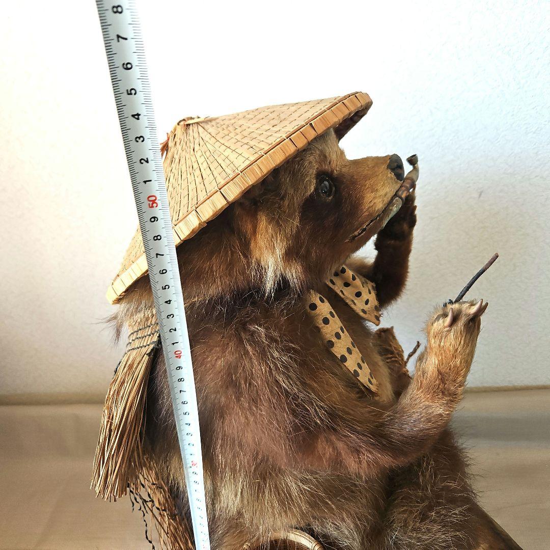 剥製　狸　タヌキ　獣　縁起物　商売繁盛　出世運　レトロ　天然木　台座付き