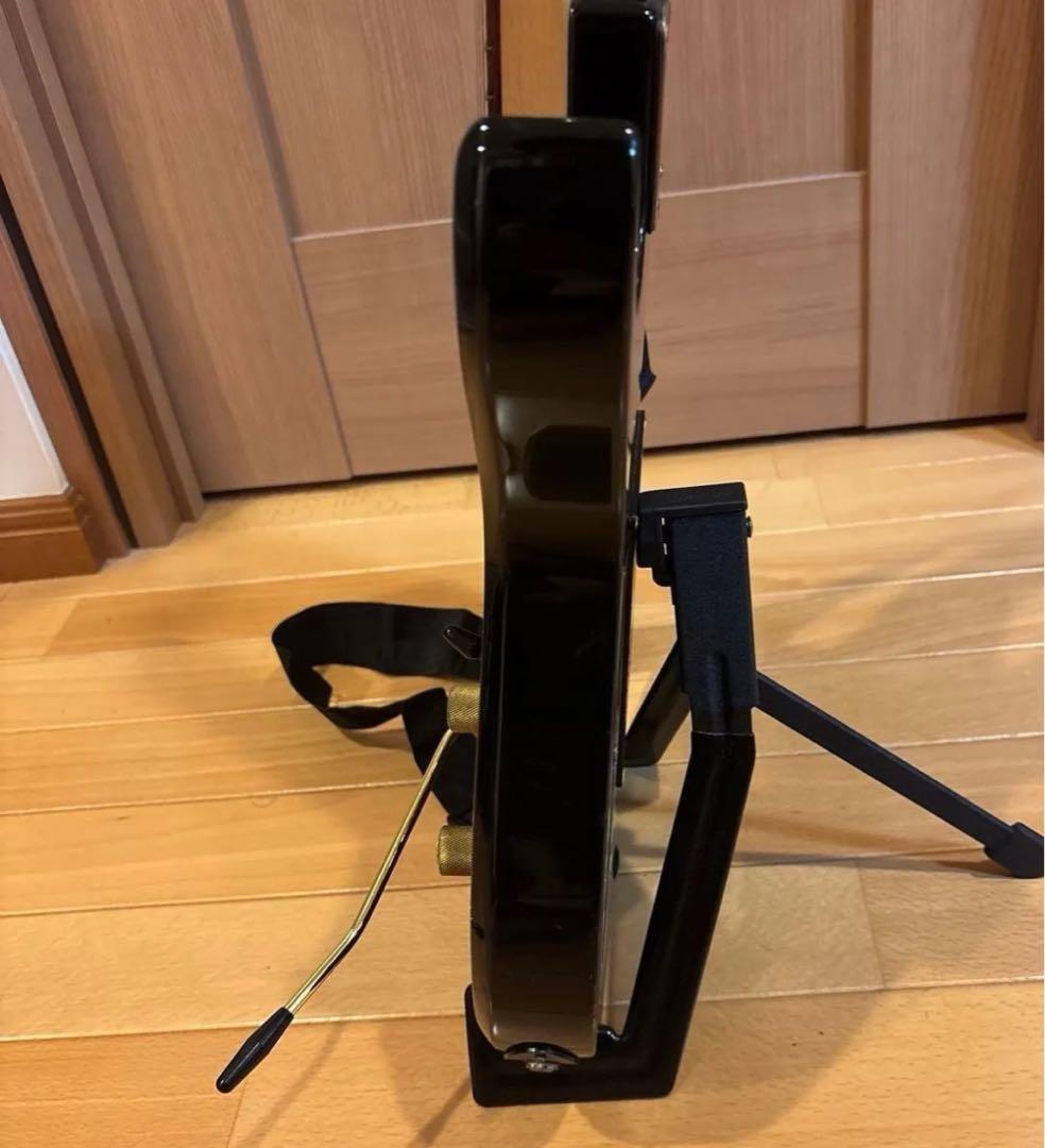 FERNANDES FGZ400 ゴールドパーツ仕様 トレモロアーム ケース付