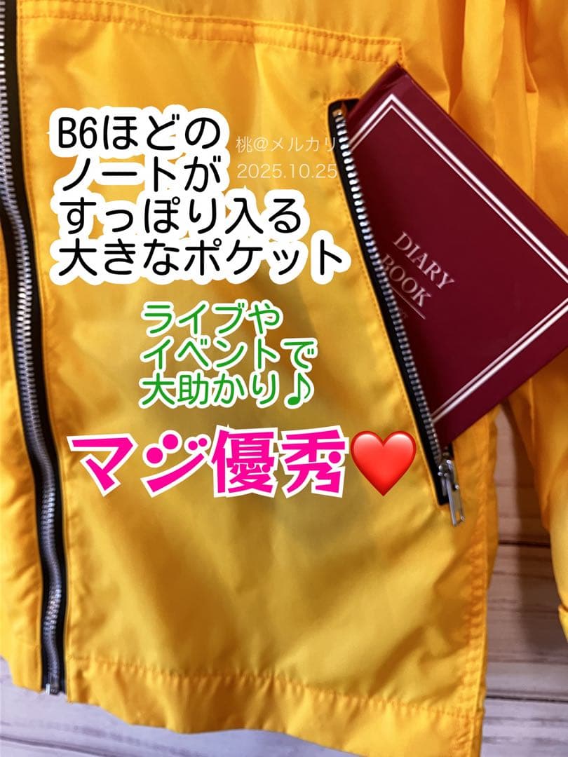 【ver.2】hideラインパーカー　LEMONeD