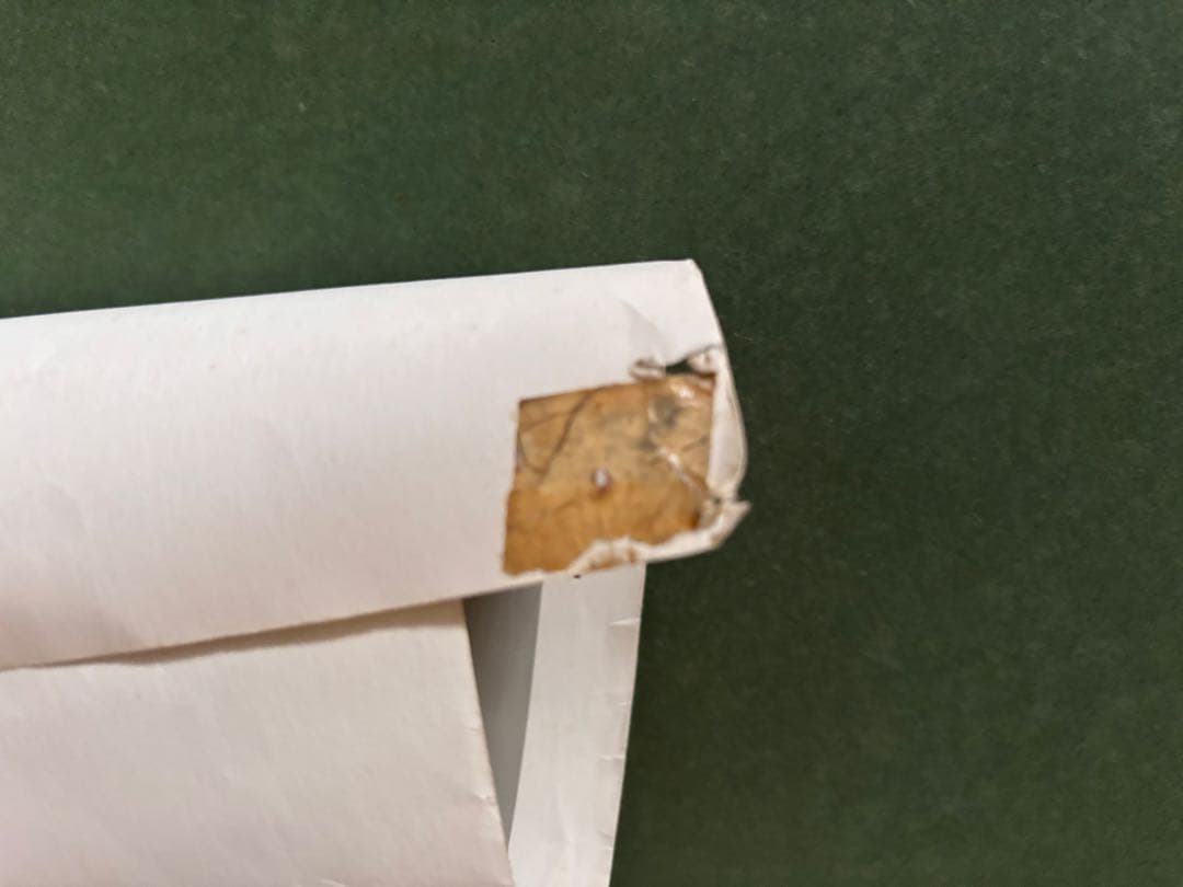 レア　THE CULT ELECTRIC ON TOUR ポスター　ザ　カルト