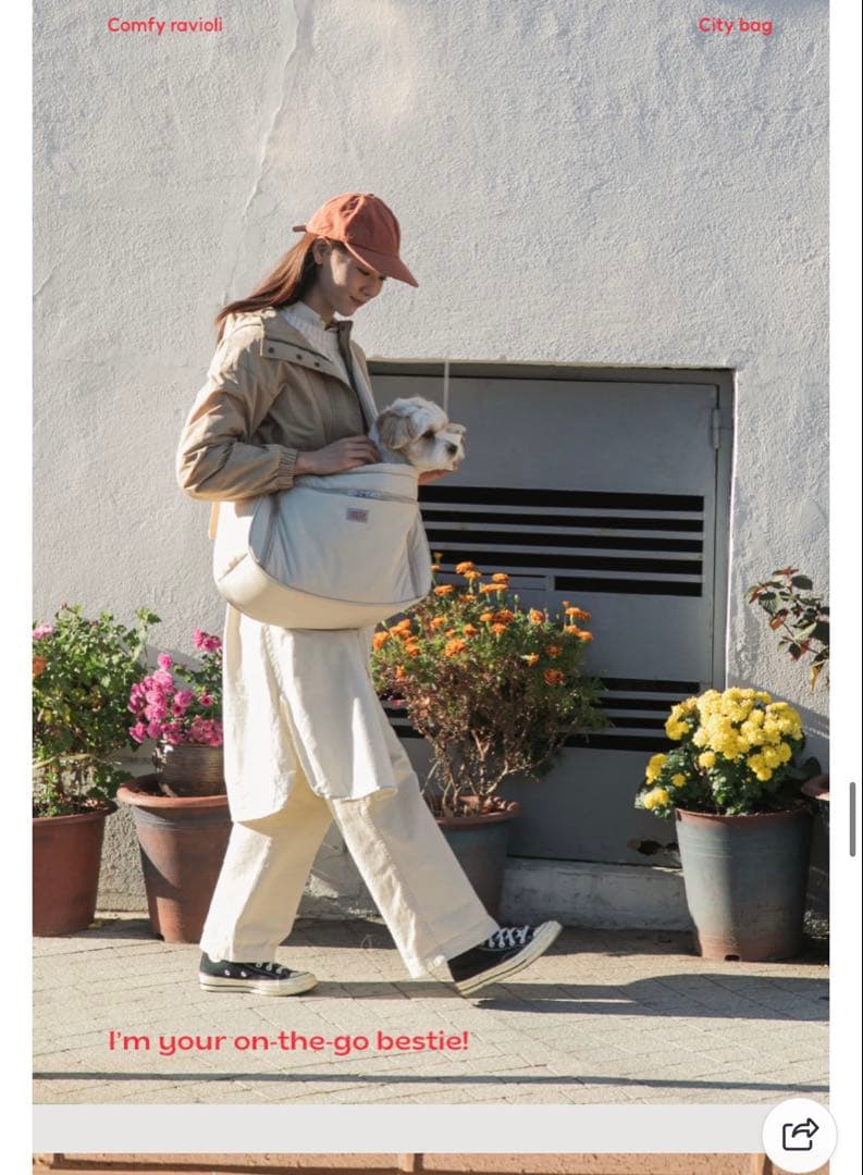 『美品』犬服　ドックスリング