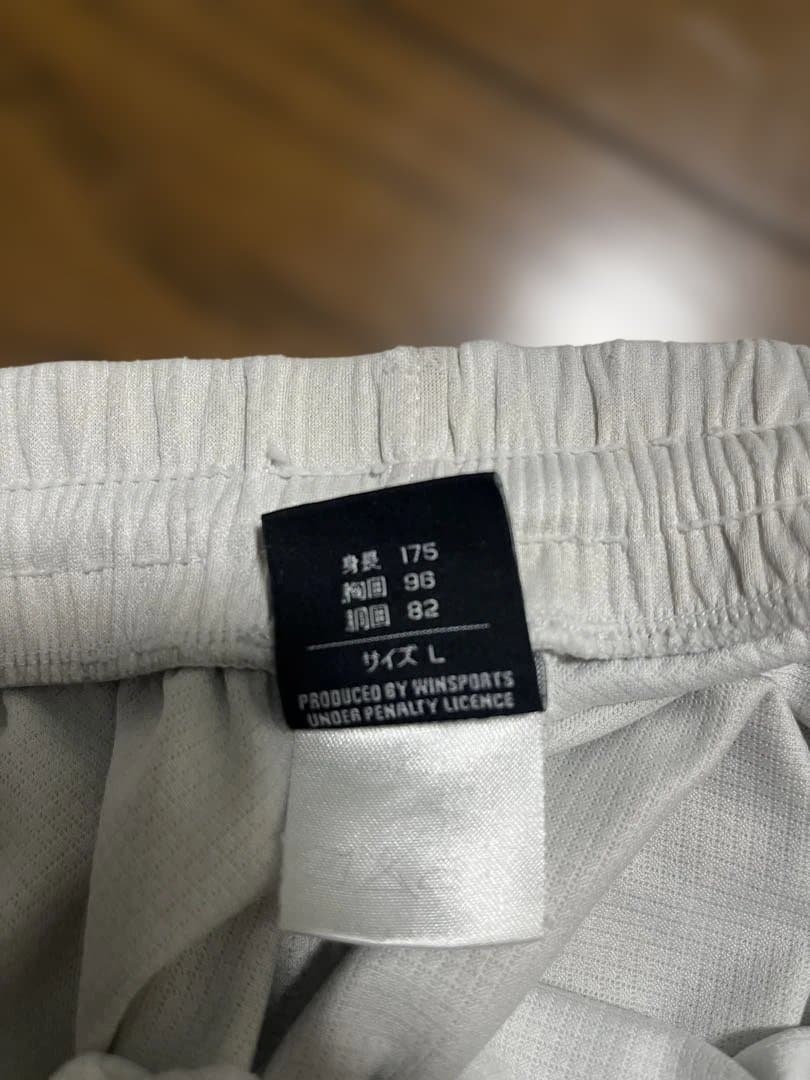 サッカー　神奈川選抜　トレセン　L