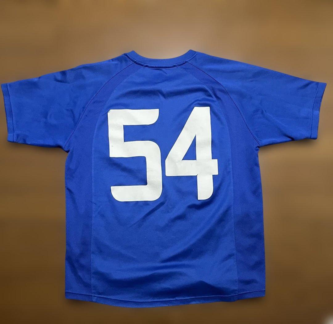 サッカー　神奈川選抜　トレセン　L