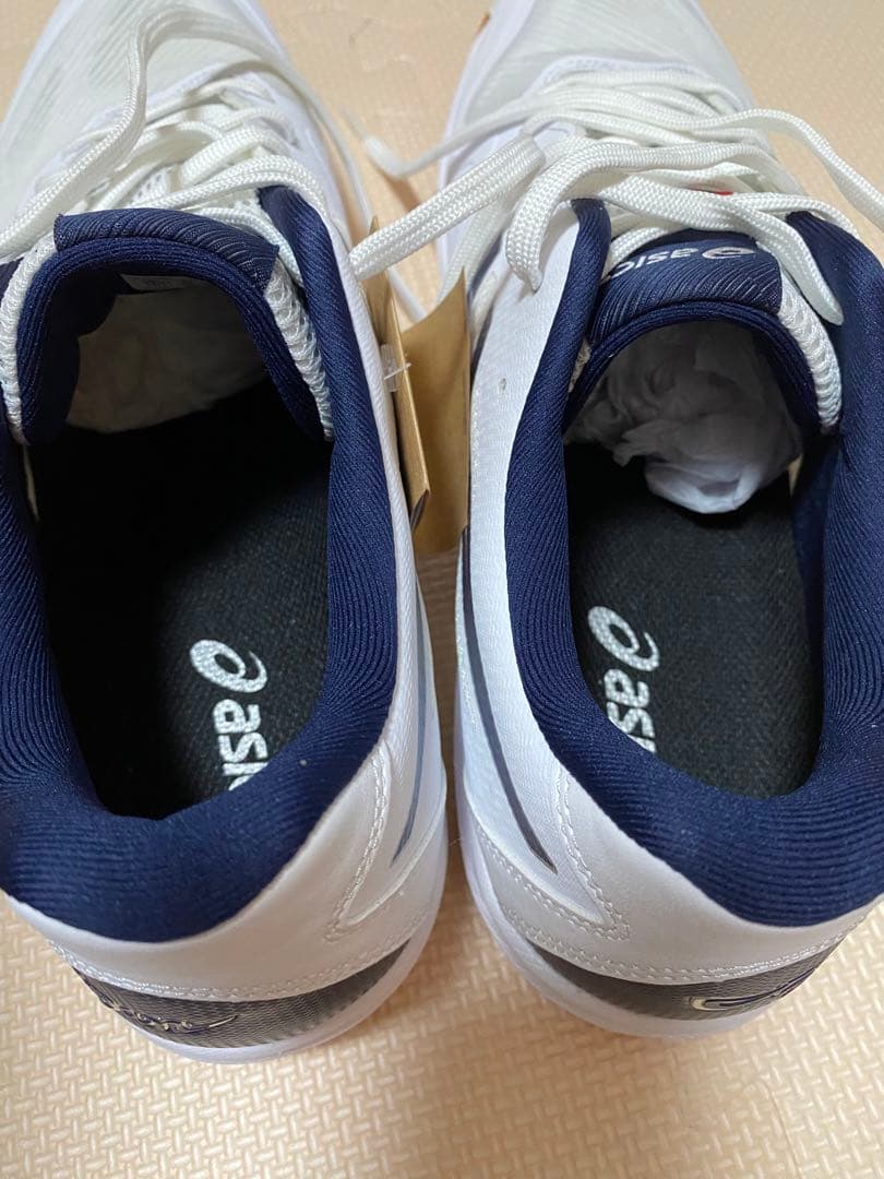 【箱タグ付き】ASICS ROTE JAPAN LYTE FF 3 30.0cm