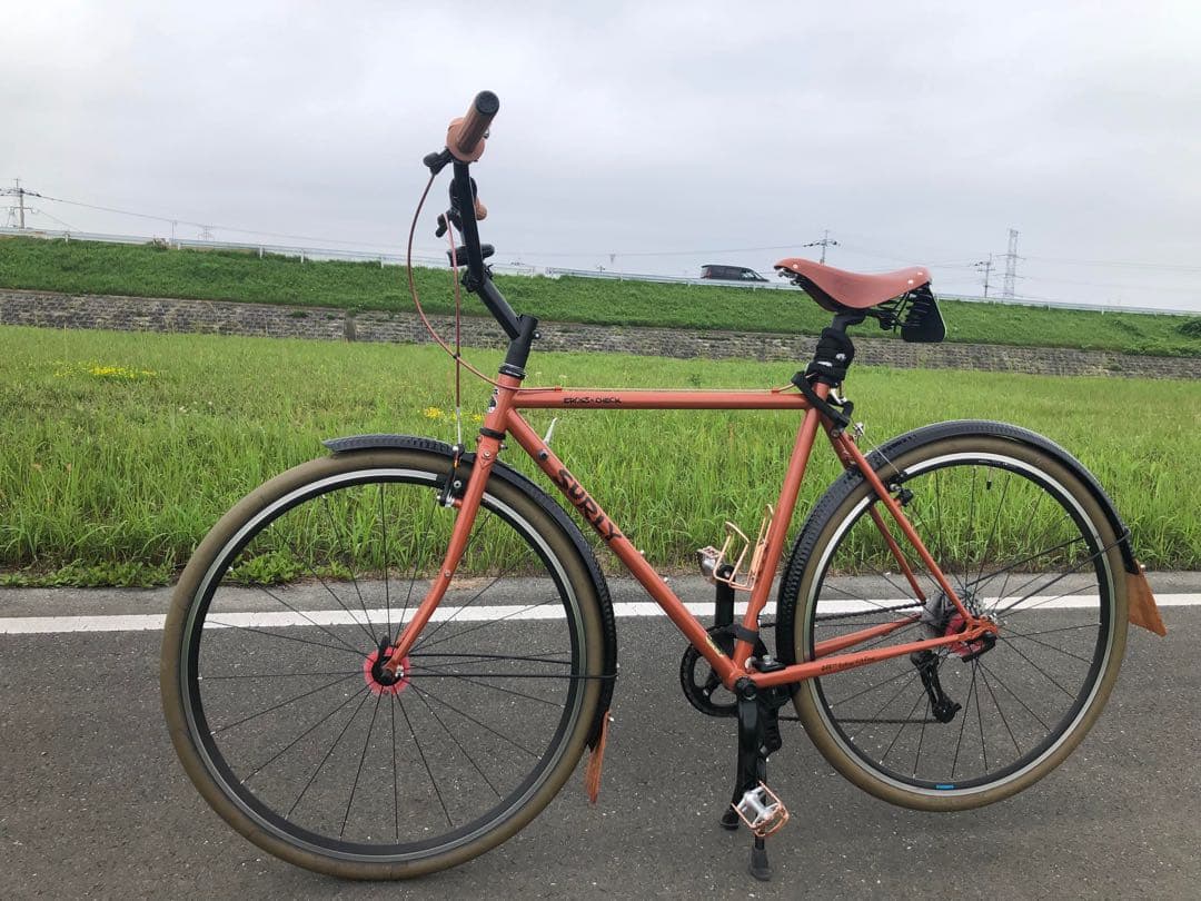A*u様 引取限定　SURLY Cross Check クロスチェック　ミュール