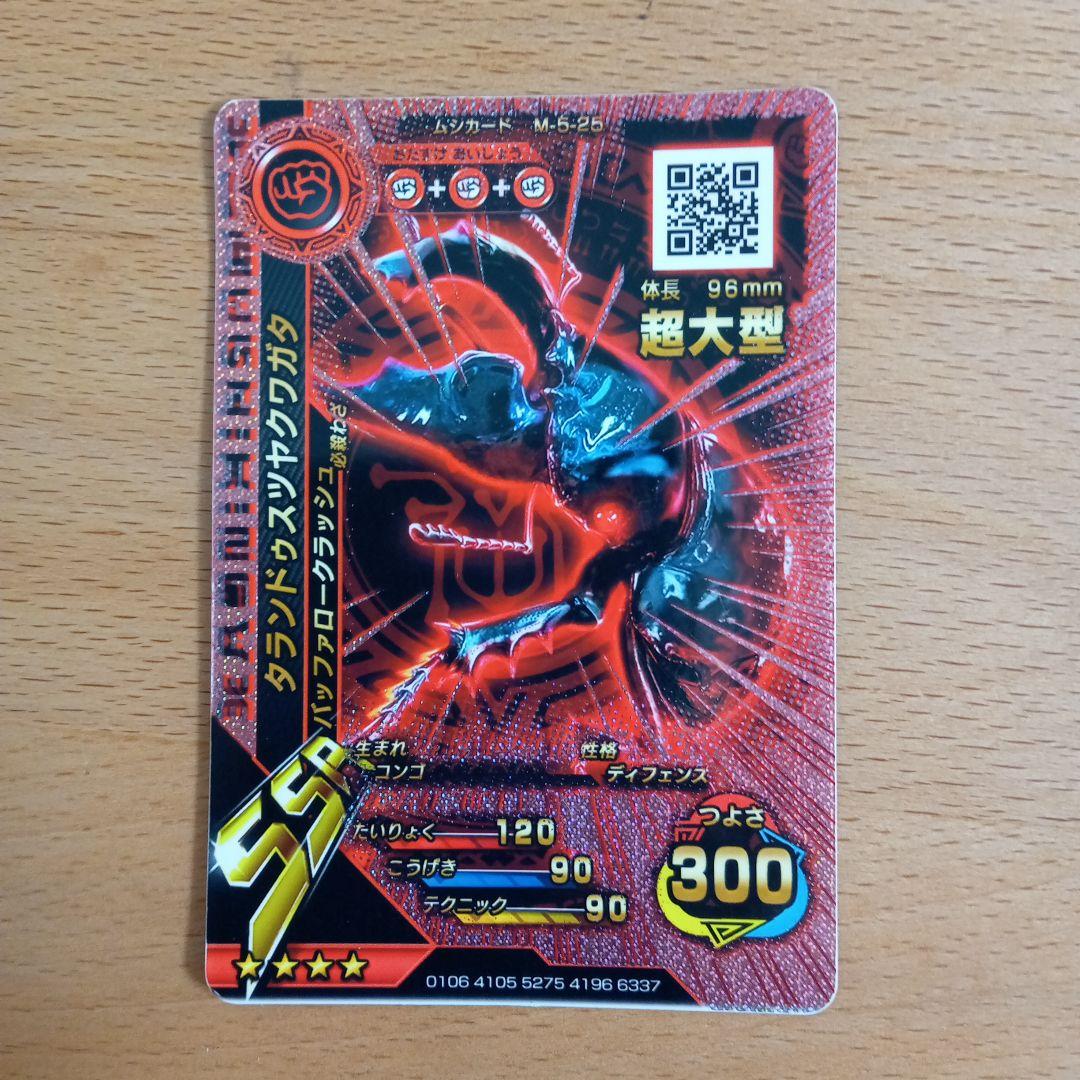 赤い目のタランドゥスツヤクワガタ