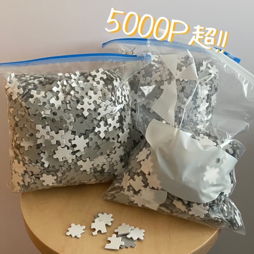 【未使用品】5005P ホワイト ジグソーパズル 特注品 アート 美術 白地図
