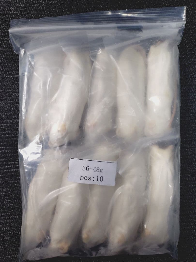 特価　送料無料　冷凍マウスリタイア50匹