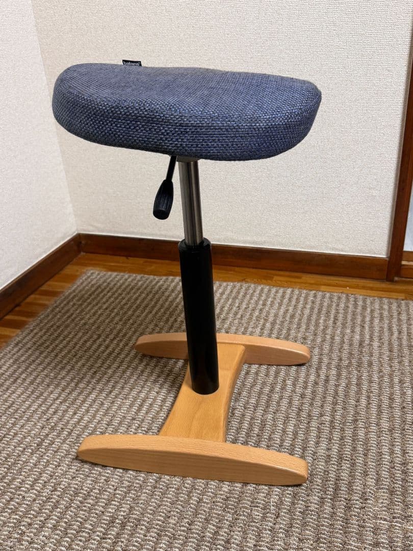 balans Synergy サイズ330mm + 358mm クッションチェア