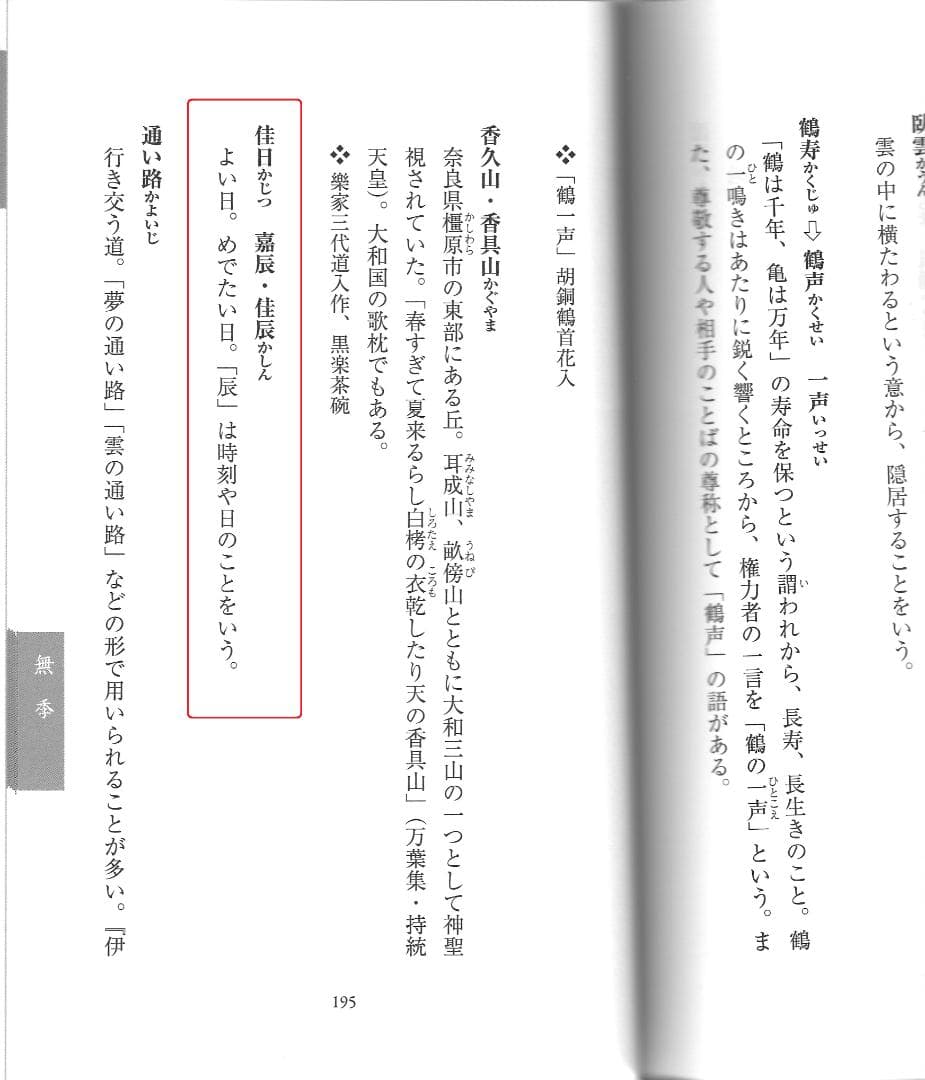 臨済宗大徳寺派芳春院住職　秋吉則洲造『竹茶杓』銘：佳日（共箱）