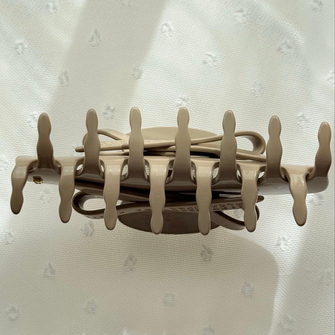 新品✨希少✨購入証明書有 ALEXANDRE DE PARIS ベージュクリップ