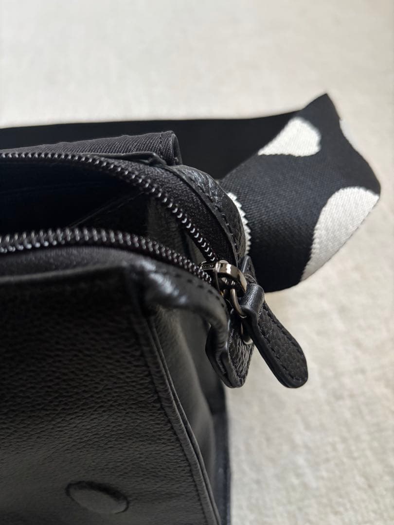 ear PAPILLONNER 本革　ボディバック