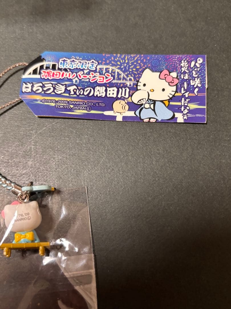レア❣️未使用未開封❗️ご当地キティ東京 隅田川2009