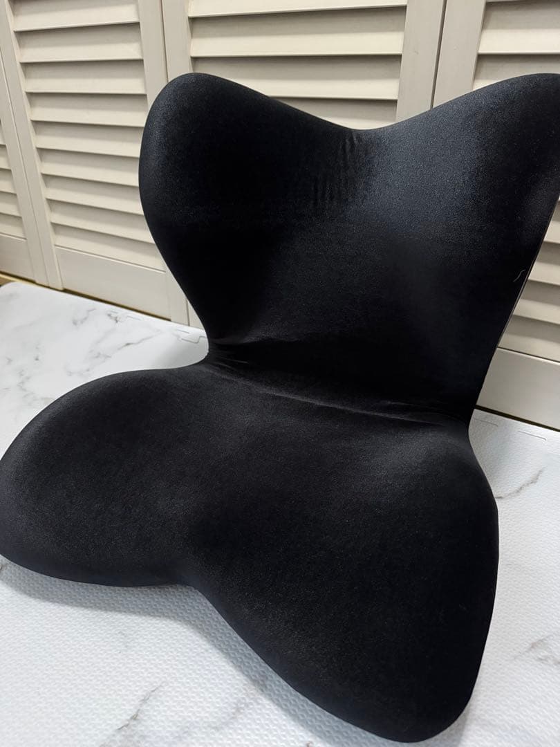 【 美品 】Style PREMIUM DX