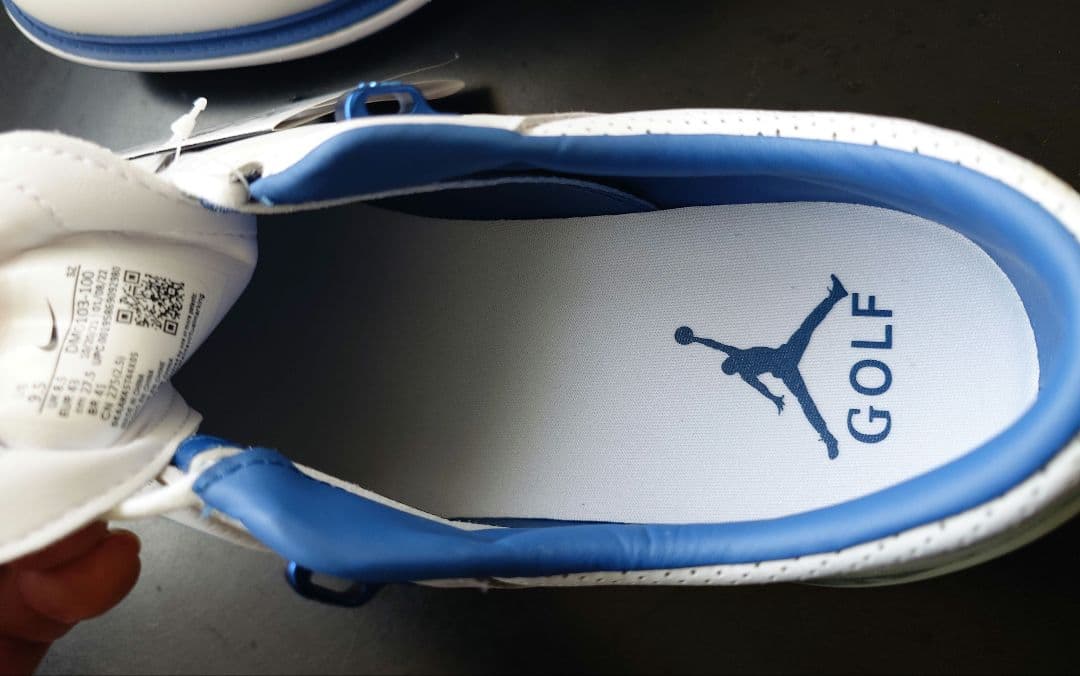 Nike ジョーダンゴルフシューズ JORDAN ADG4　27.5cm