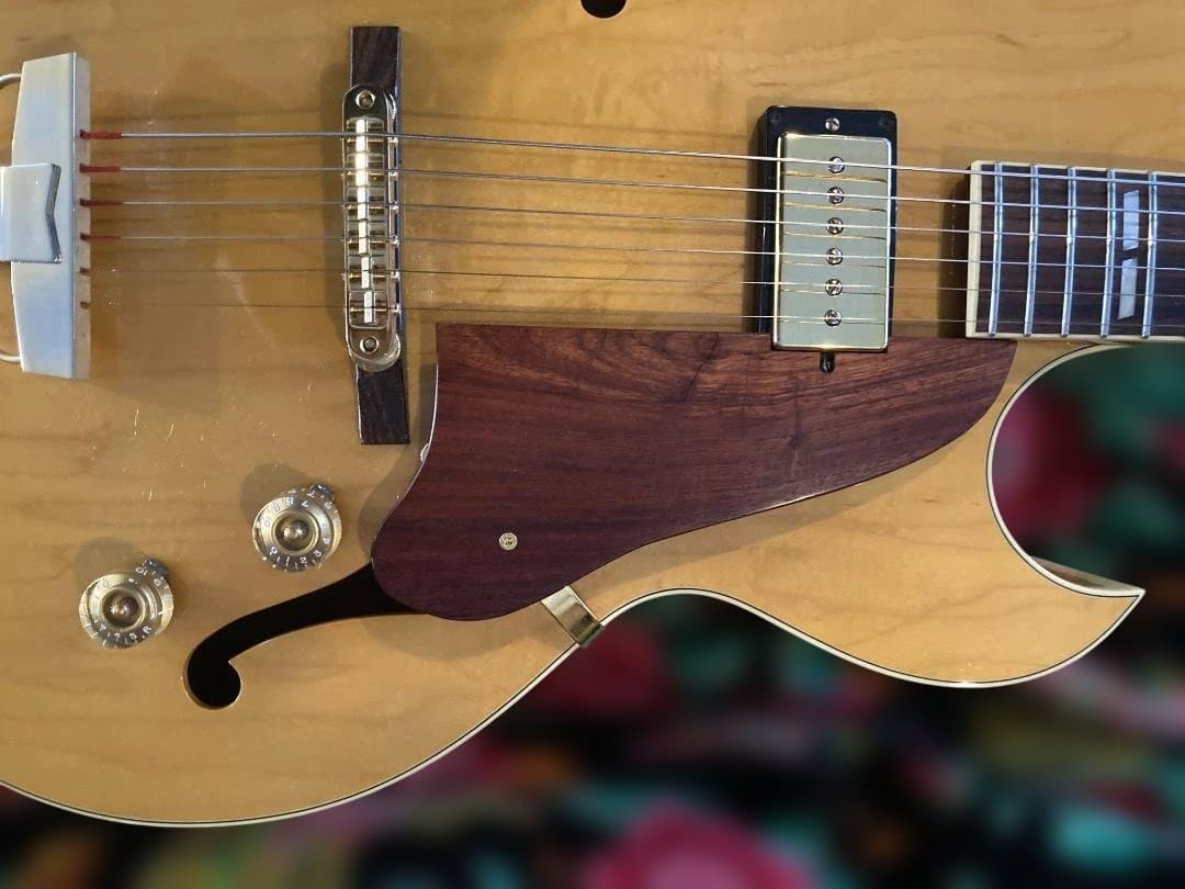 ギター Archtop Tribute AT-102