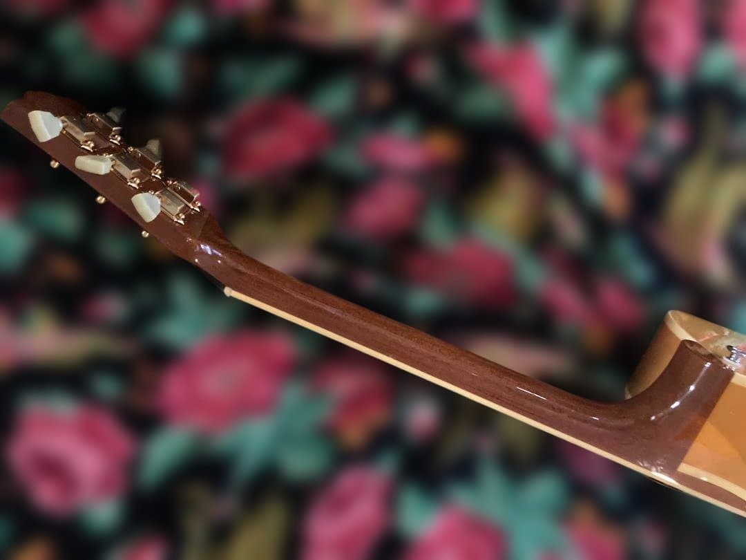 ギター Archtop Tribute AT-102