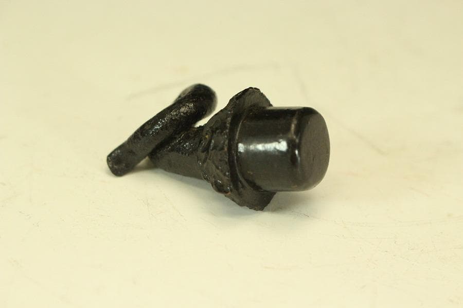 茄子 明治四十五年 九条公分家松園殿拝領 皇太子殿下 茄子(LC496)