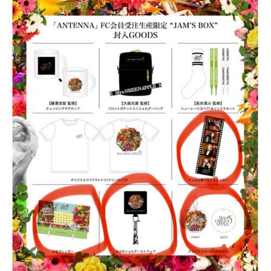 Mrs. GREEN APPLE グッズセット ゼンジン未到とヴェルトラウム他