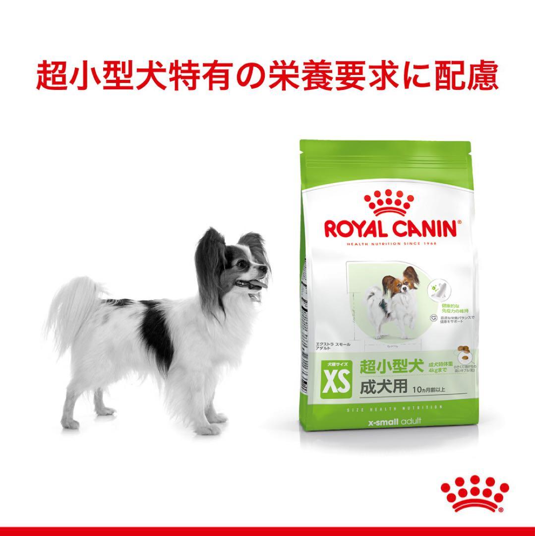  CANIN ドライフード エクストラスモールアダルト10kg