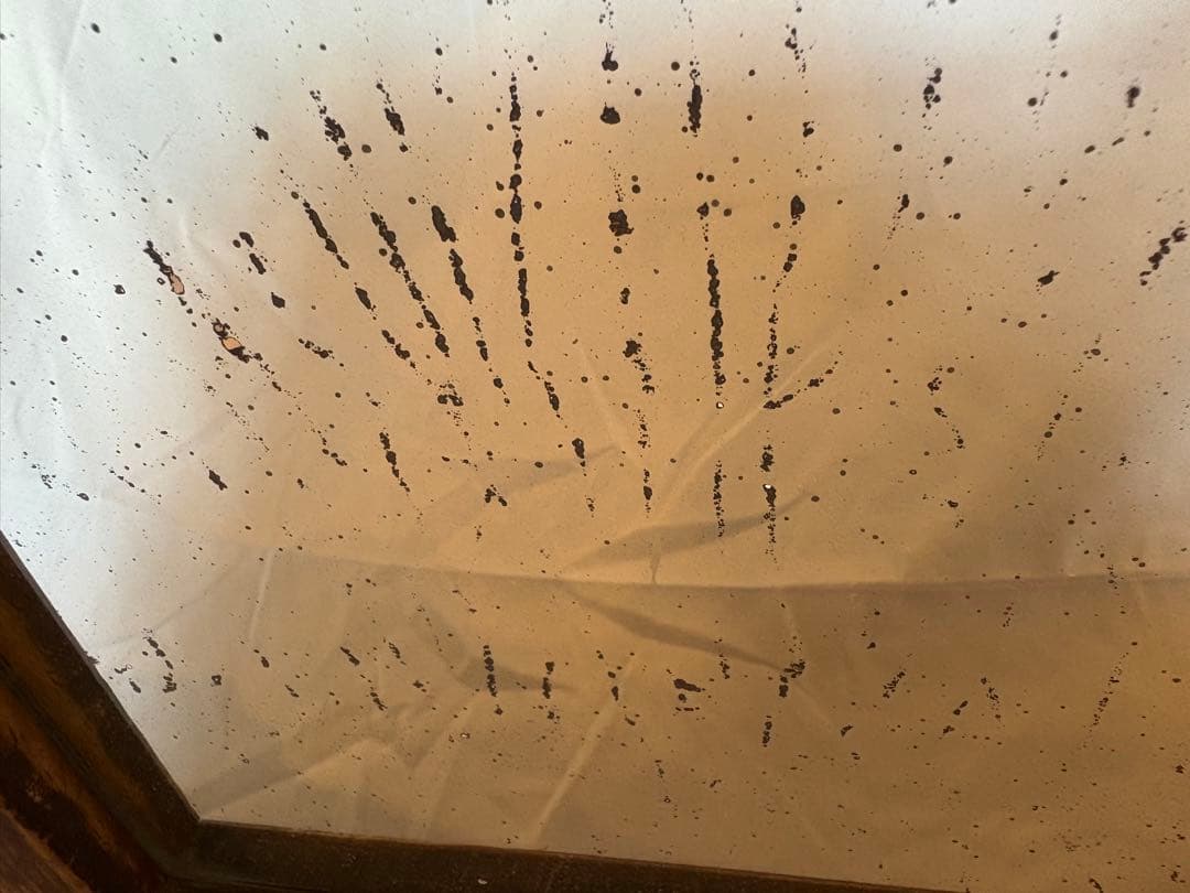 【希少】建具　鏡　古民家　昭和レトロ　ディスプレイ