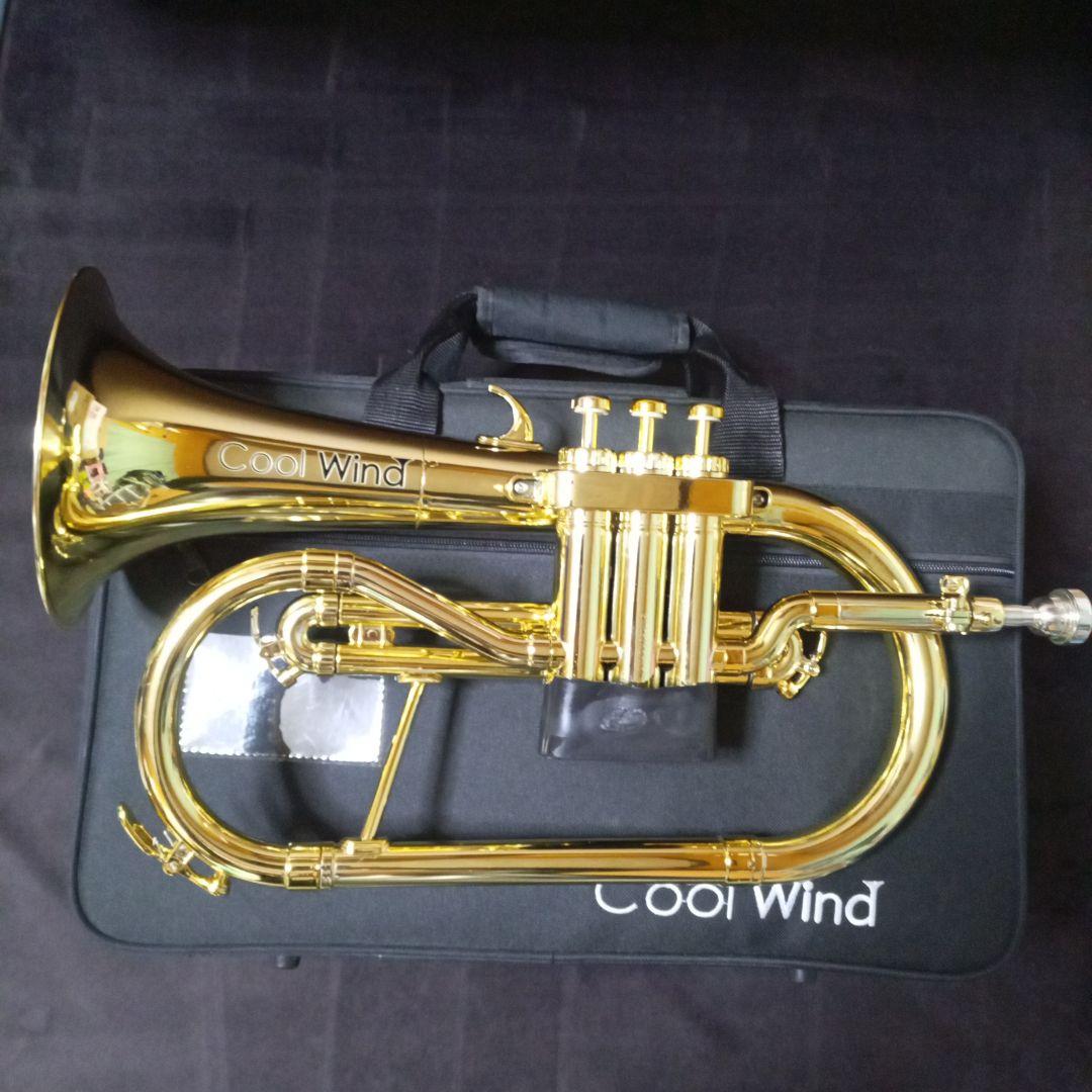 Cool Wind プラスチック フリューゲルホルン 本体 ボトムキャップ無し