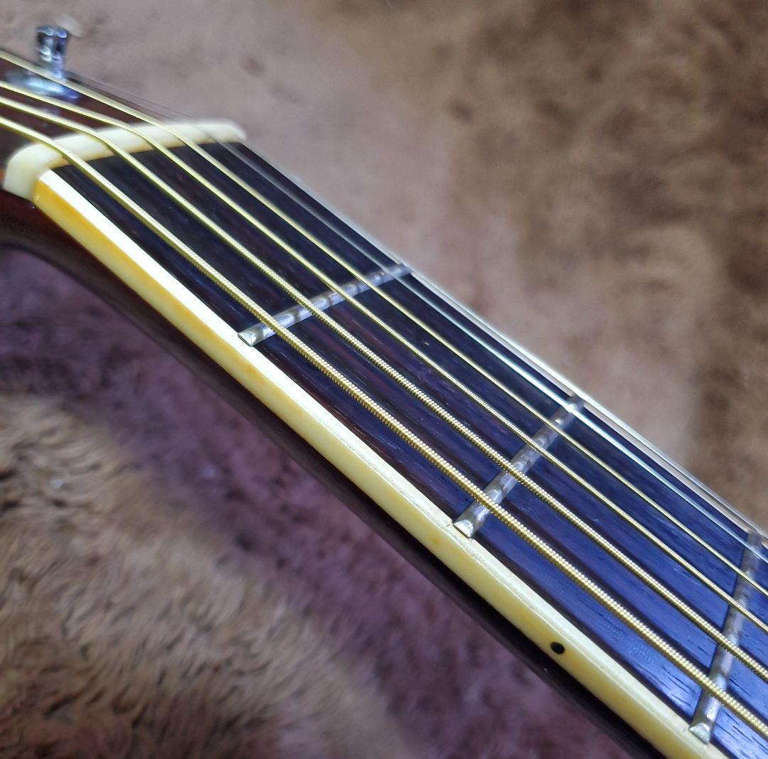 Yamaki ヤマキ YM-500 トップ単板 ジャパンヴィンテージ 3Pバック