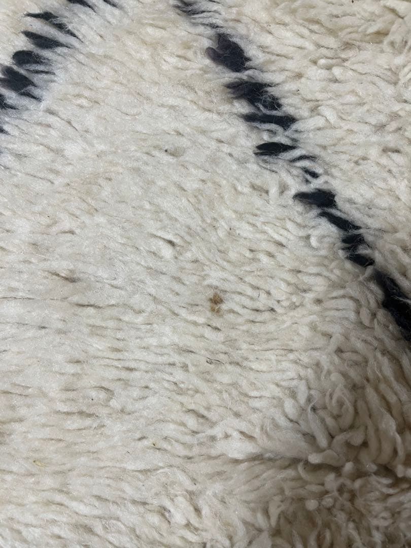 ベニワレン　モロッコラグ　マルムーシャ