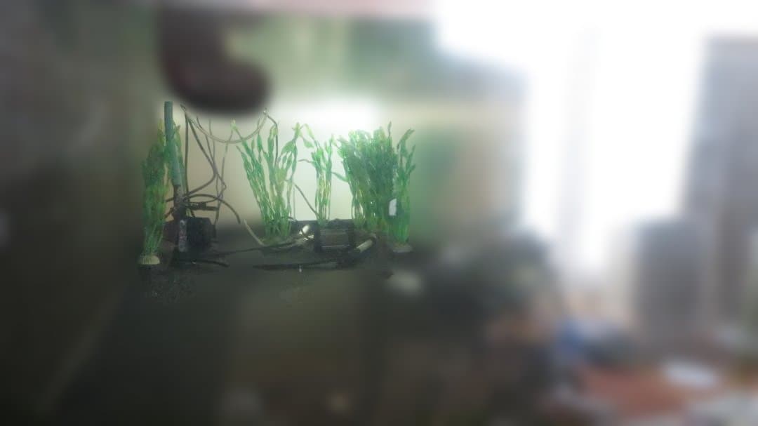 アクリル水槽　160cm×60cm×50cm