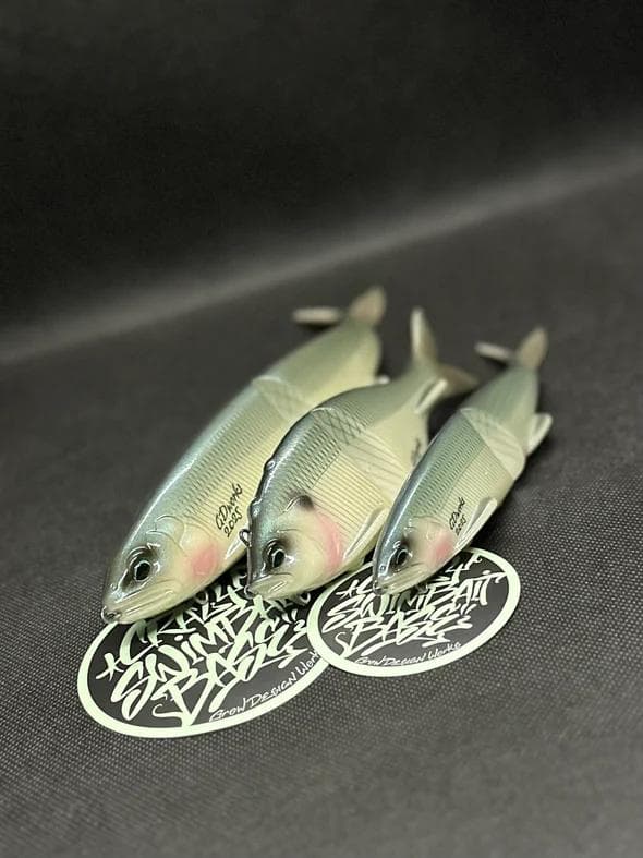 ルアー・フライ MOSS 2025 LIMITED COLOR BOX