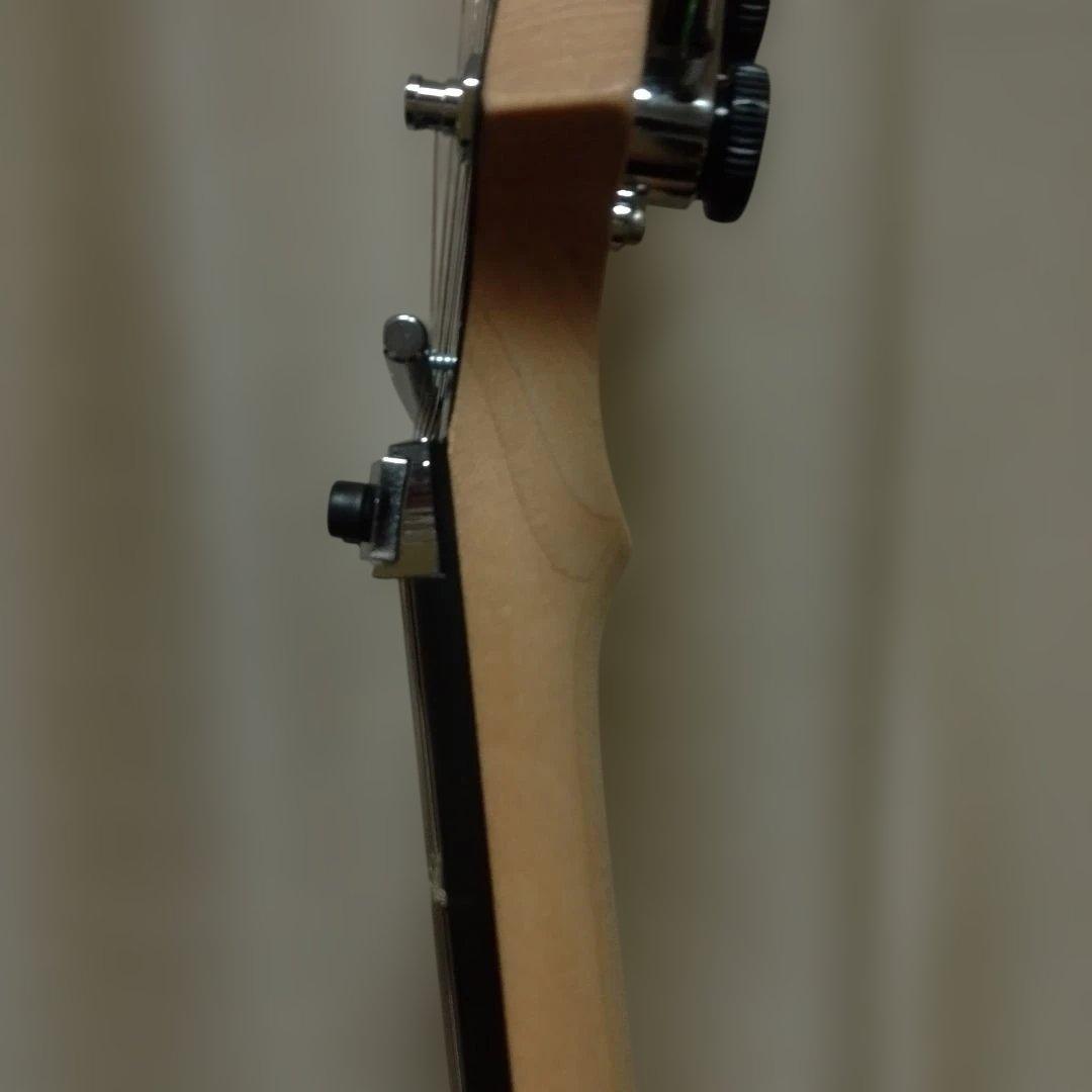 ESP MAVERICK マーベリック チタンメタル ローズウッド