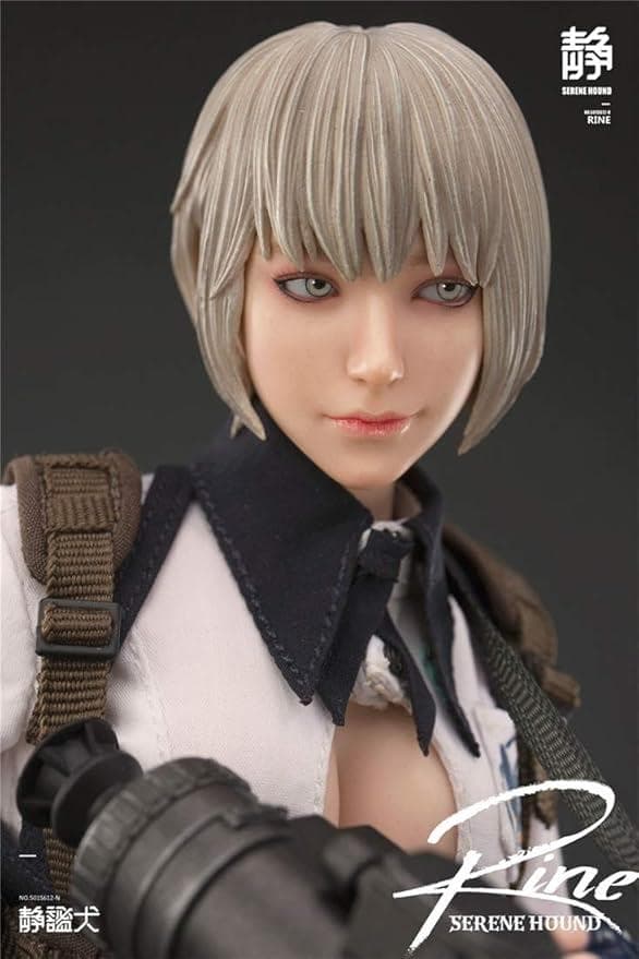 新品 i8toys RINE SERENE HOUND 1/6 リン タチ