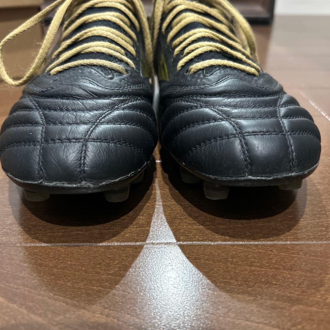 モレリアネオ4 β 24cm