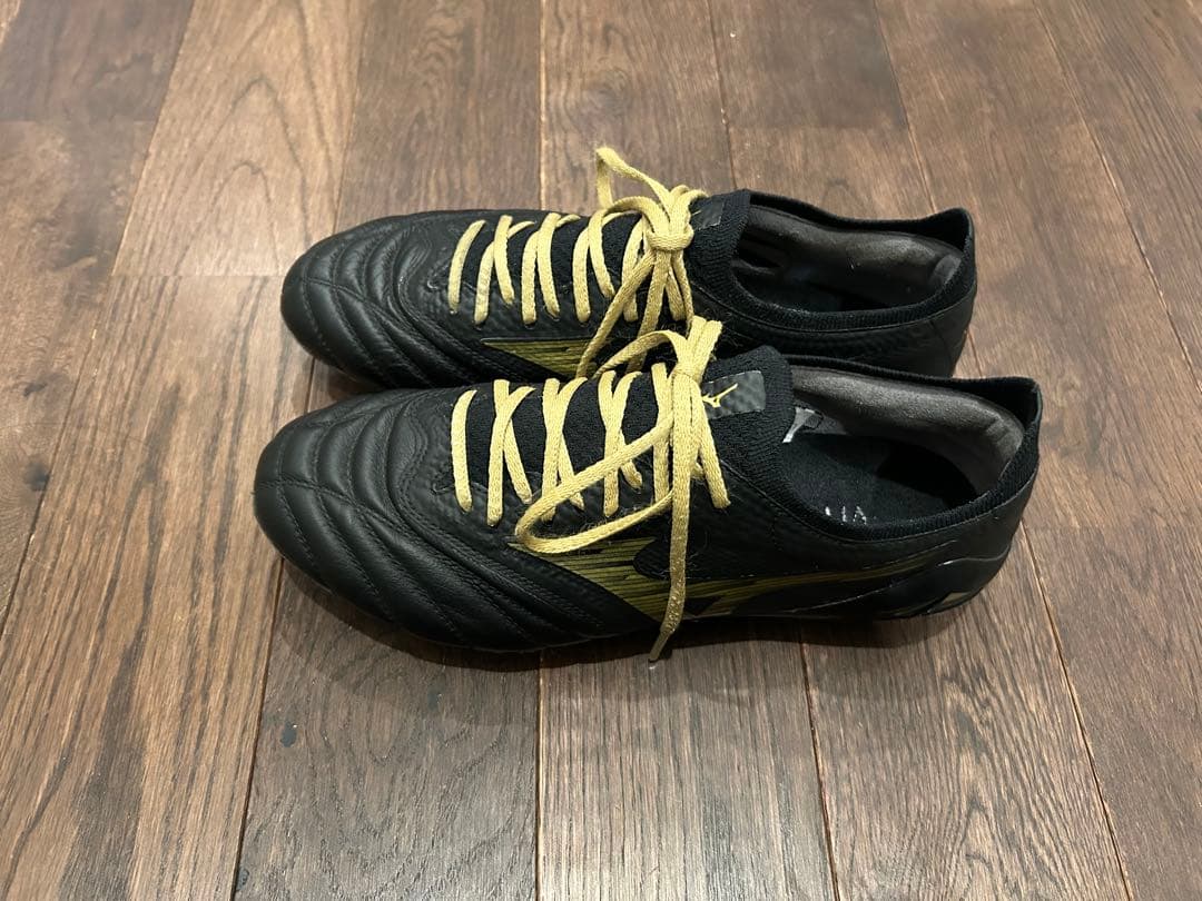 モレリアネオ4 β 24cm