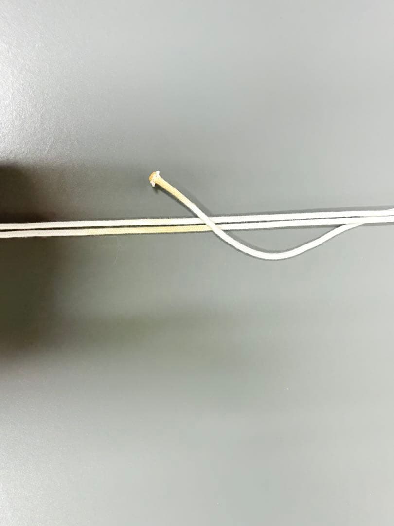 アナピア・アントニーニ　直筆サイン　絵画　リトグラフ　88/99