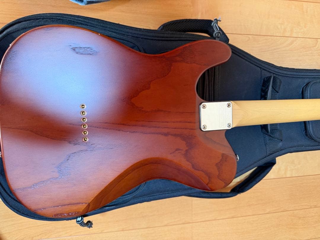 SCHECTER PROGAUGE PS-S-PT ロック式ペッグ交換済み品