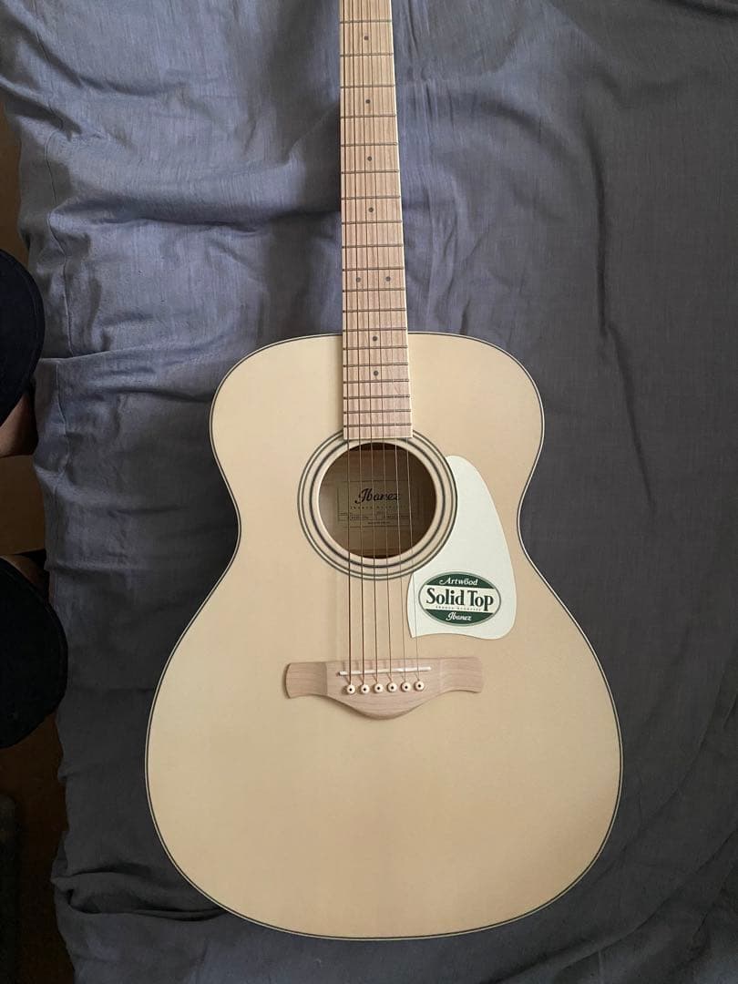 アイバニーズ　アコギ　AC419E OAW