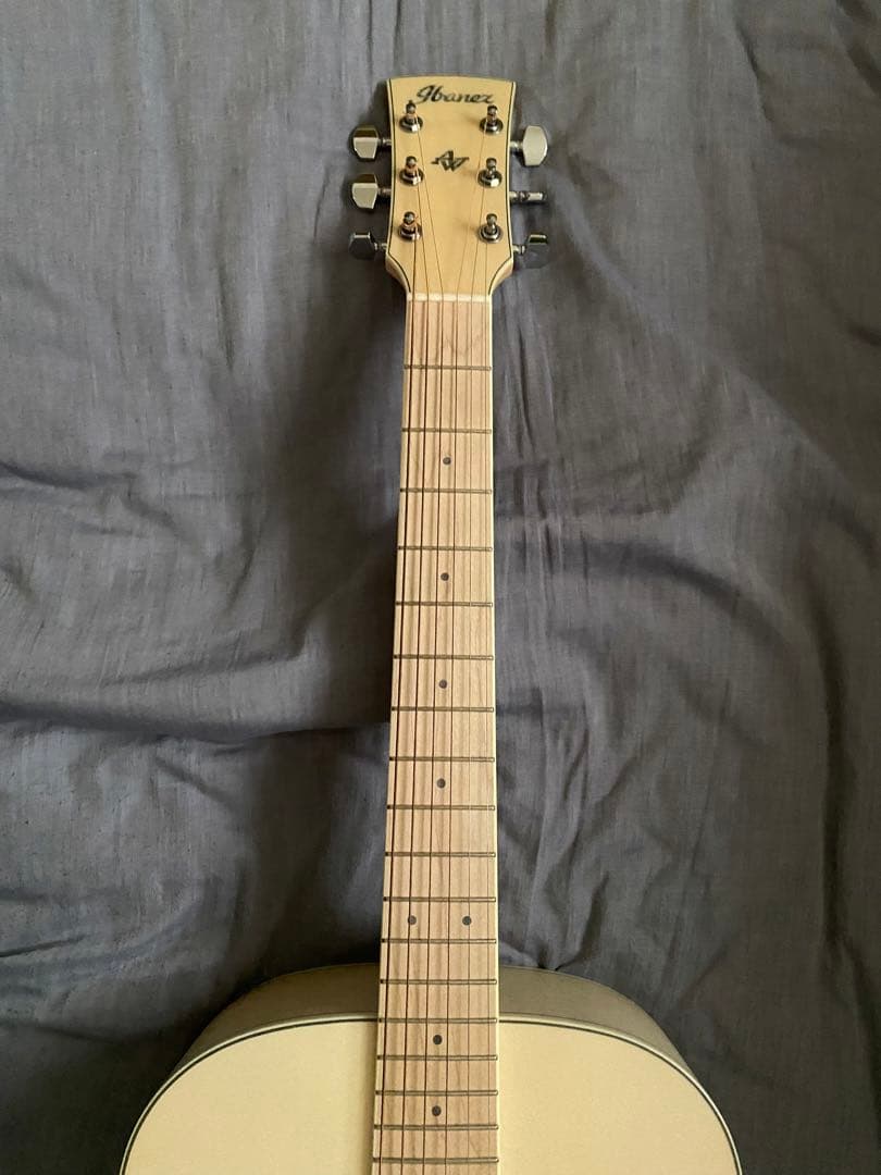 アイバニーズ　アコギ　AC419E OAW