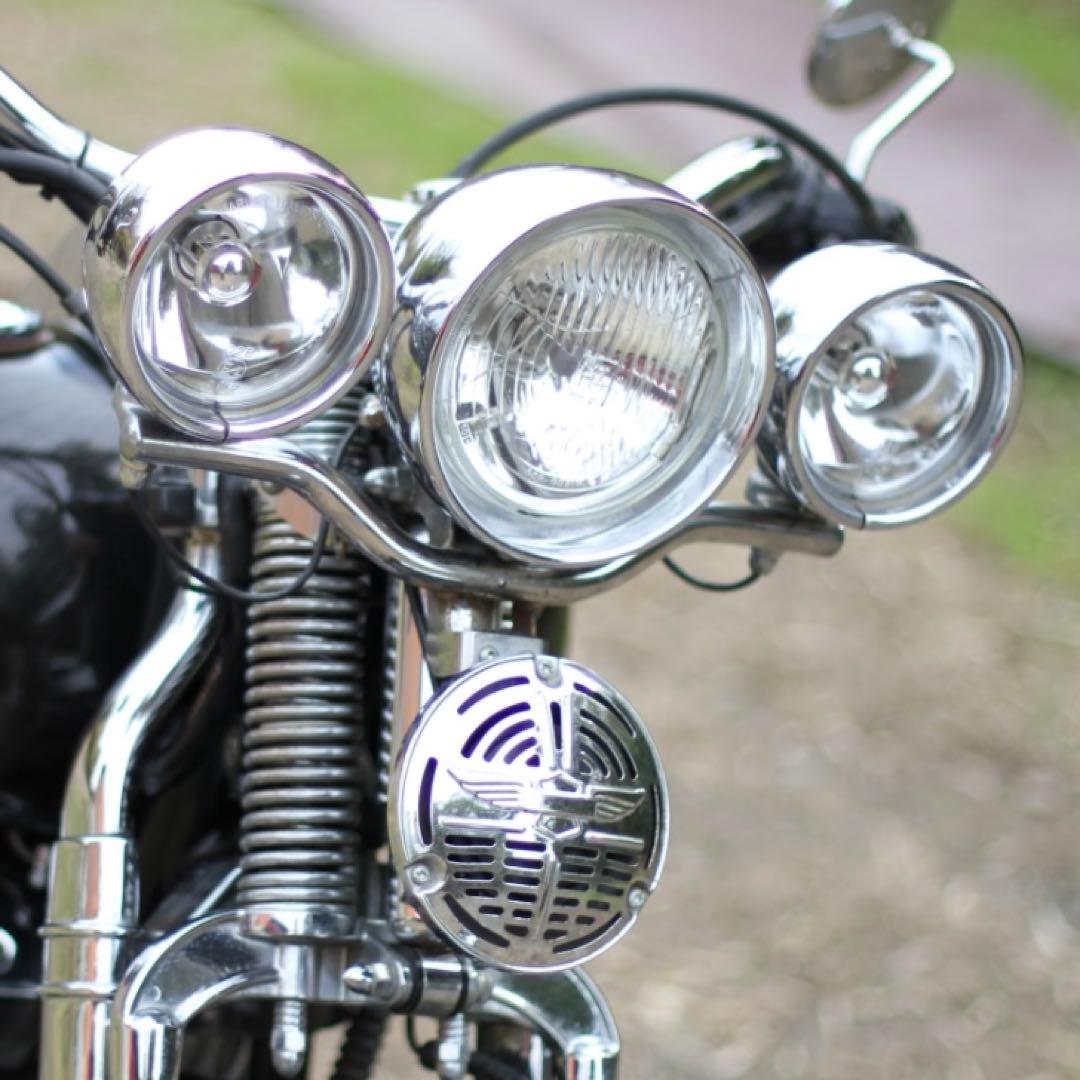 スプリンガーFLSTS フォグランプ