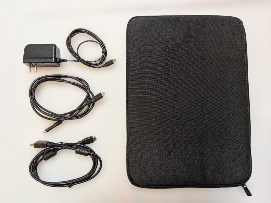 モバイルモニター 15.6インチ EX-LDC161DBM フルHD USB-C