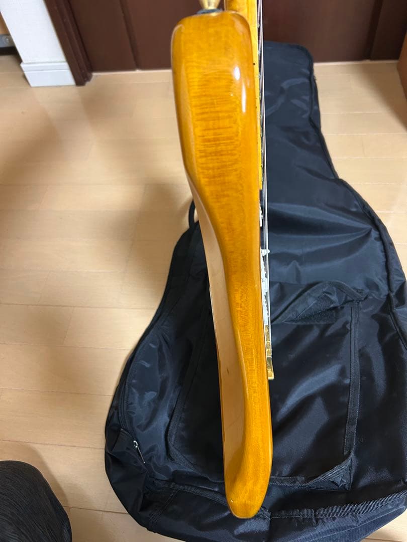 SX エレキギター ストラトキャスタータイプ ヴィンテージシリーズ