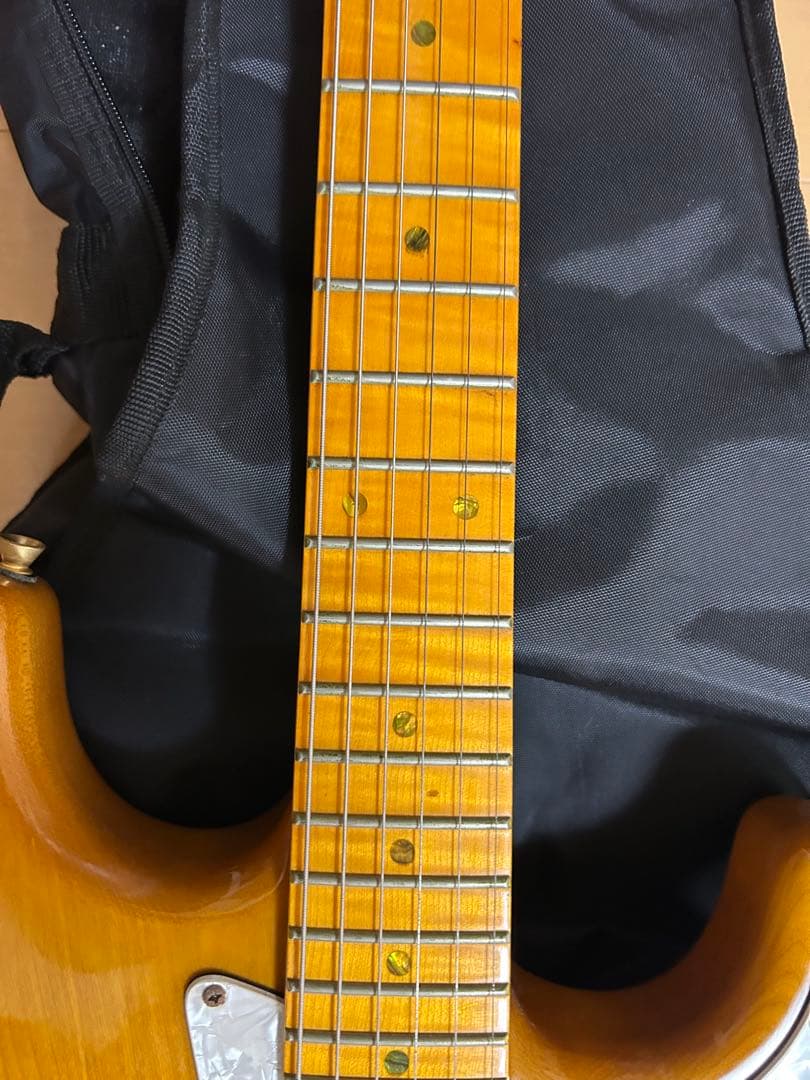 SX エレキギター ストラトキャスタータイプ ヴィンテージシリーズ