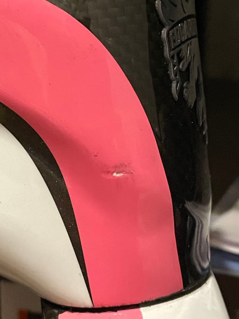 鹿*ん様 Bianchi Infinito ロードバイクフレーム 【カーボンフレ