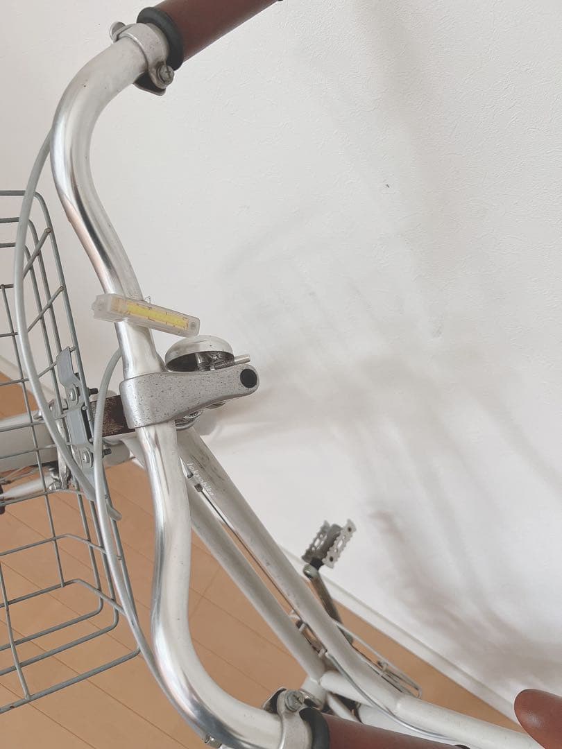 ぱおぱおトーキョーバイク