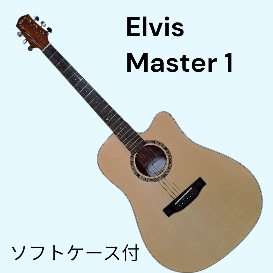 ✨美品✨Elvis 　Master 1　アコースティックギター 　ソフトケース付